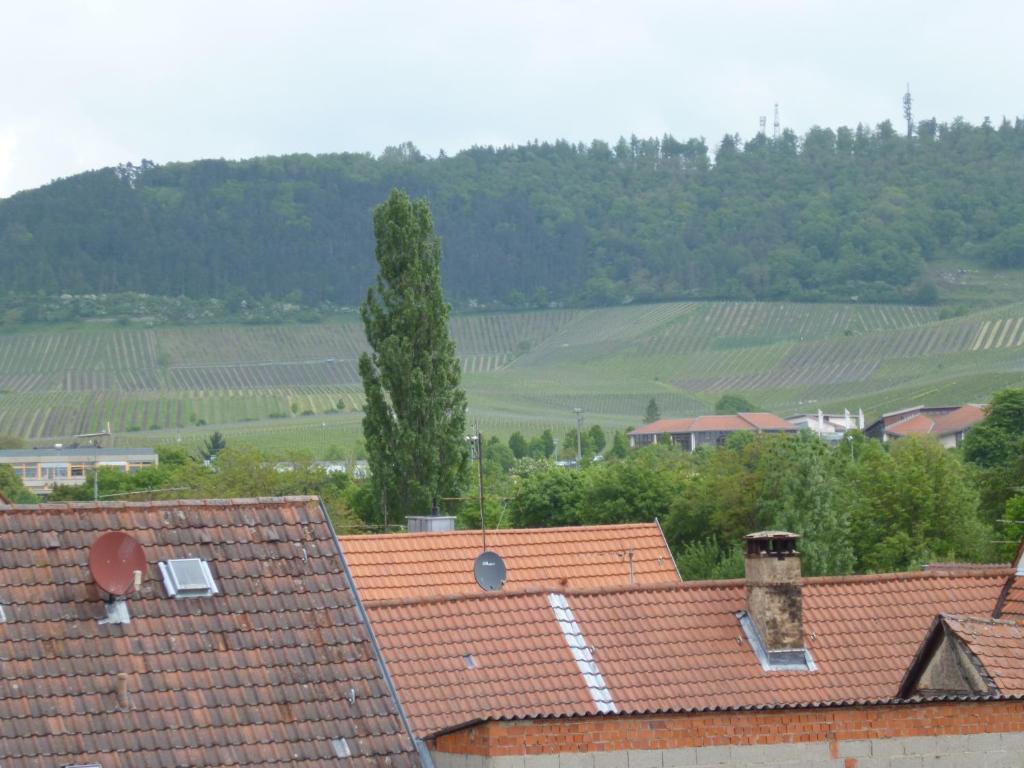 Hotel Garni Zum Hirschen Iphofen Esterno foto